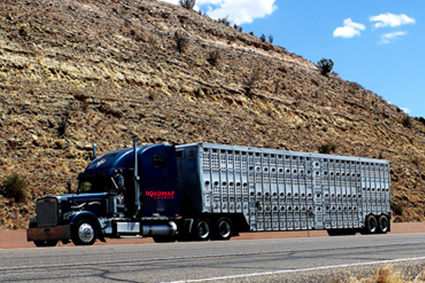 Roadmap Truck LTL Service